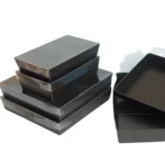 New Trend Plastic Free Aqueous Coating Corrugated SUSHI Party Box